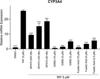 Identification of human pregnane X receptor antagonists utilizing a high-throughput screening platform